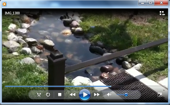 <click for video> A member of the american council for women