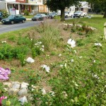 A member of the american council for women