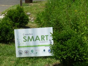 A member of the american council for women