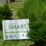 A member of the american council for women