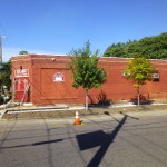 A member of the american council for women