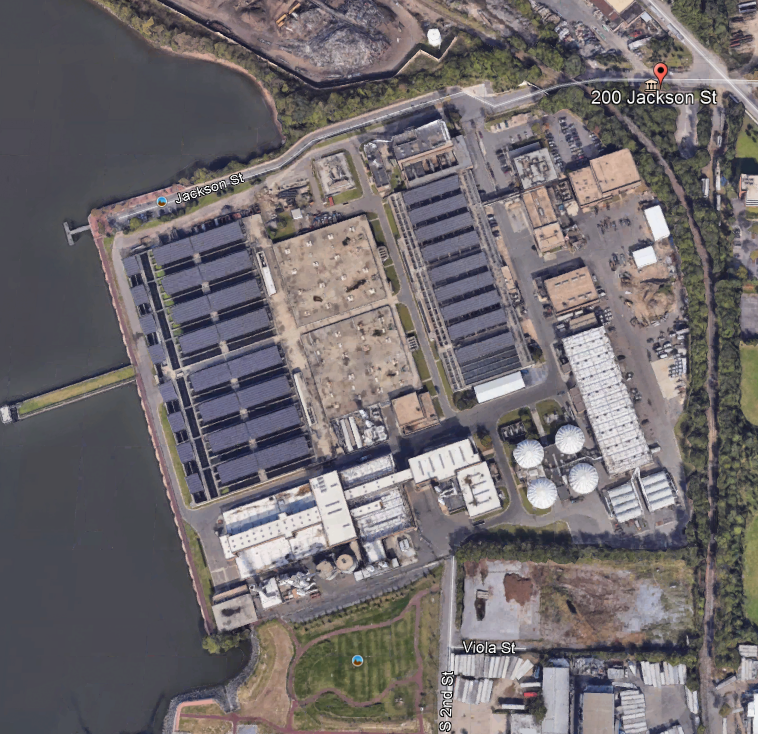 A member of the american council for women