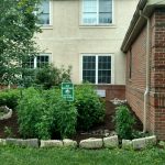 A member of the american council for women