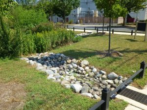 A member of the american council for women