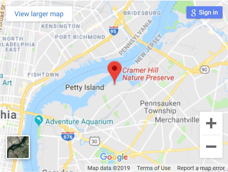 A member of the american council for women