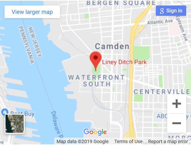 A member of the american council for women